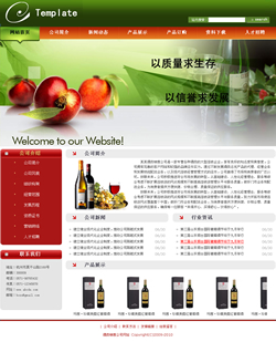 济南网站建设-酒类销售公司网站