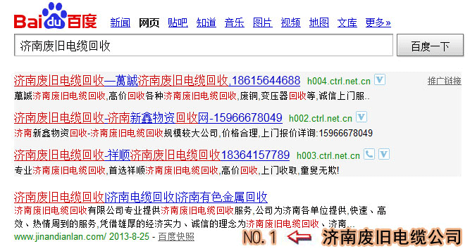 网站优化案例图示