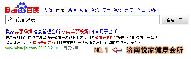 网站优化案例图示