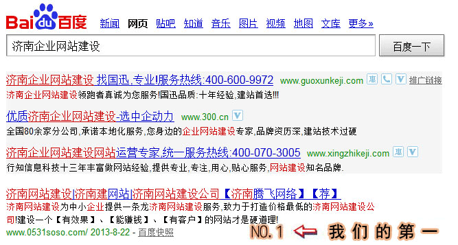 网站优化案例图示