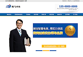 蓝色网络营销企业